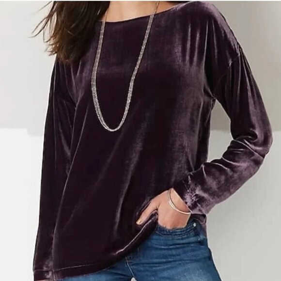 J. Jill Tops - NWT New $199 J. Jill Rayon Silk Velvet Long Sleeve Dark Fig Purple Top Size M
